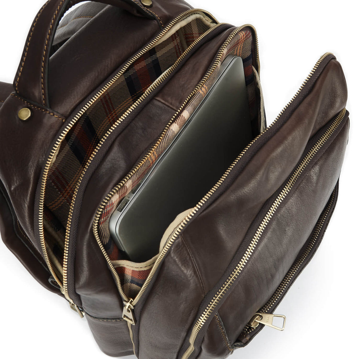 #Colore_Testa di Moro